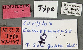Media type: image;   Entomology 32447 Aspect: labels